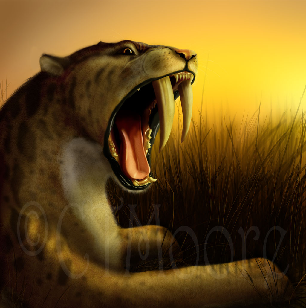 Smilodon