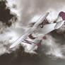 Bi Plane