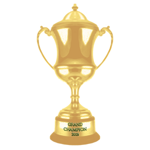 2nd Irish Jubilee Champion Trophy