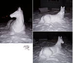 Snow Horse by LindseyTaylor