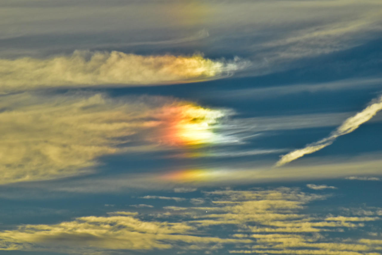 Sundog