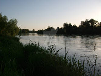 Summer on the river