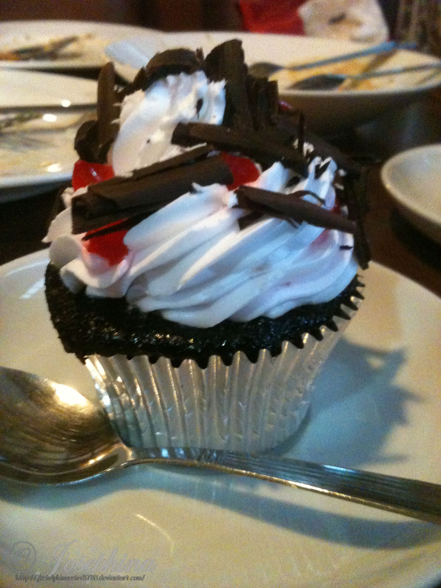 Chocolate Cupcake I