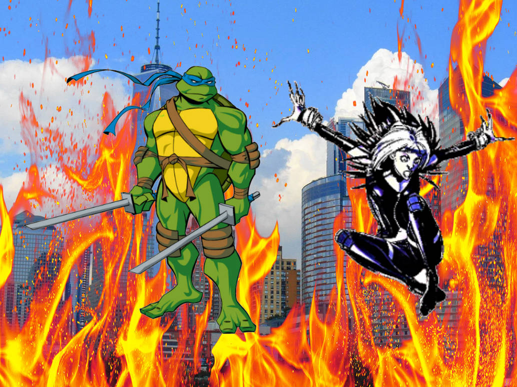 Magpie Turtle Turtle VS Magpie by Jamesdean1987 on DeviantArt