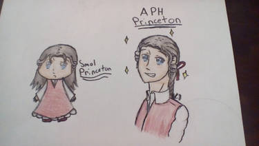 APH Princeton MA