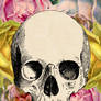 Floral Skull 2