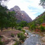 River Through Zion National Park