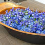 Tub Filled with Flowers