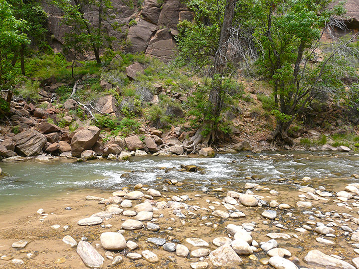 Zion National Park River