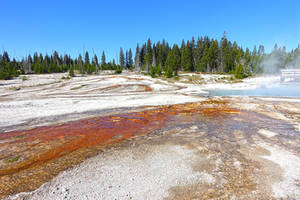 Bacteria Mat2 at Yellowstone National Park