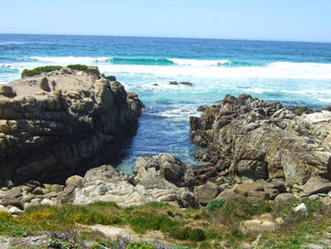 Monterey-Coast2-1-2011