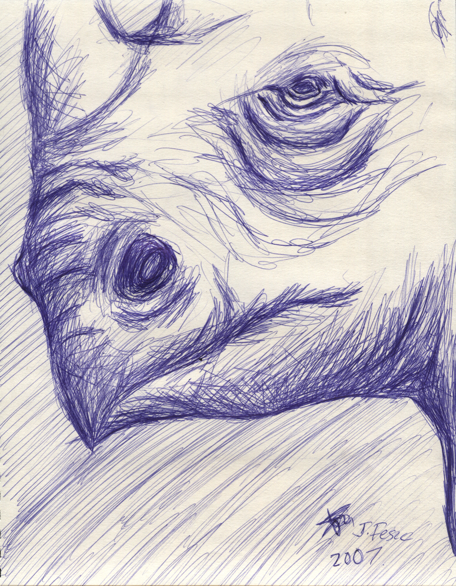 Rhino pen drawing experiement