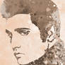 'The King' Elvis Presley