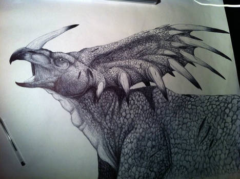 Biro Styracosaurus