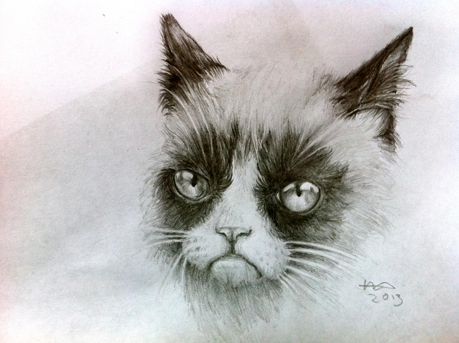 tard the grumpy cat