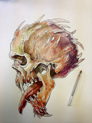 gouache skull study