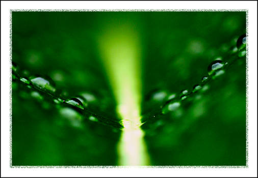 Droplets 01