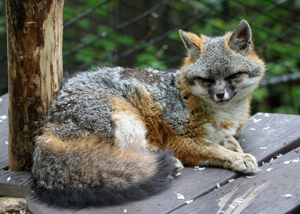 Grumpy Sexy Pose by Jack-13 on DeviantArt