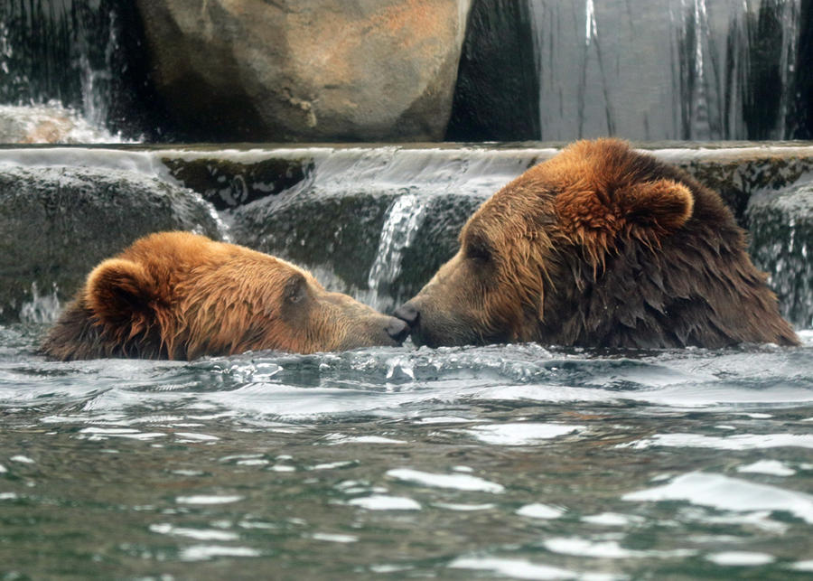 Dancing in the Water