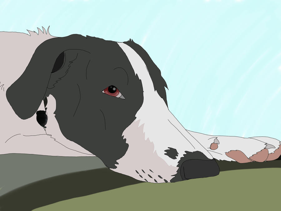 Itsderpus Deviantart First Digital art ~Derp~ by KankuranLupus on DeviantArt