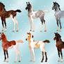 Foal Adopts | 50 Points | 1/6 OPEN