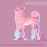 P356 Boucle Foal Design