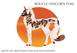 S474 Boucle Foal Design 
