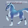E581 Boucle Foal Design
