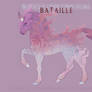 G794 Boucle Foal Design