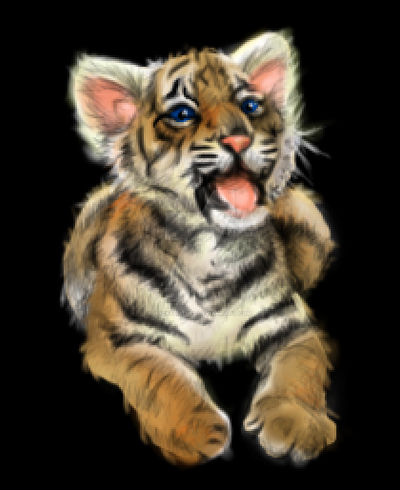 Tiger Cub