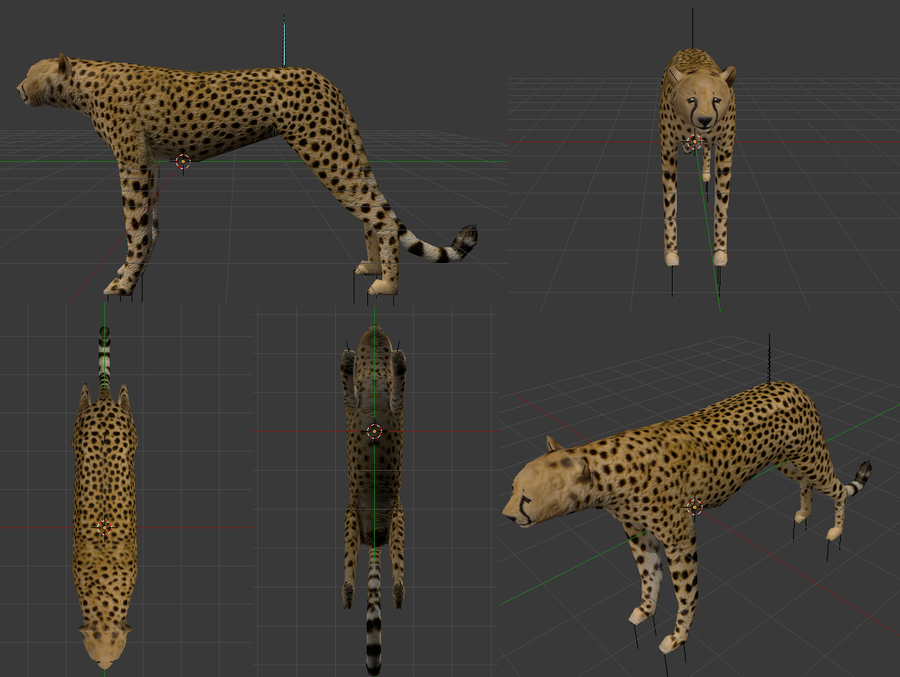 Cheetah made it on Blender 2.68