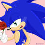 sonic the hedgehog