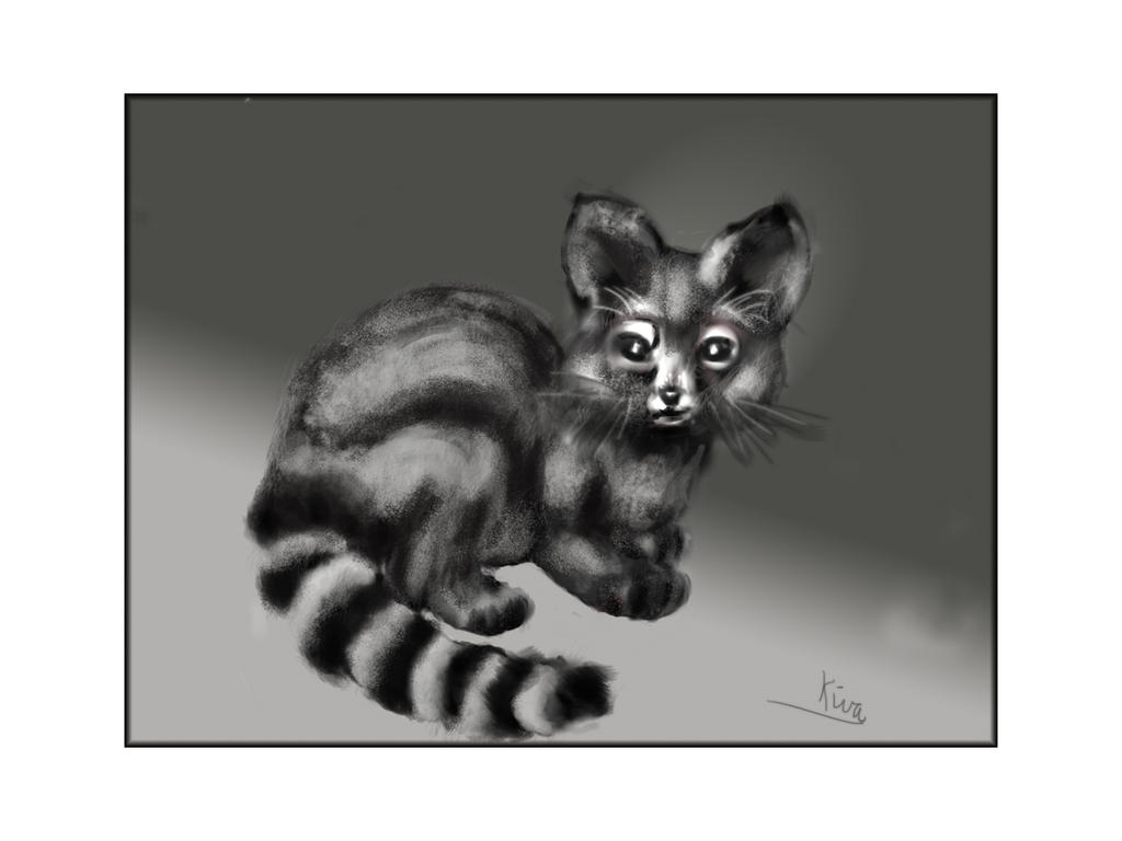 Deviantart Ringtail Ringtail Cat sketch by KivaRose on DeviantArt