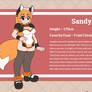 Sandy Biography