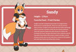 Sandy Biography