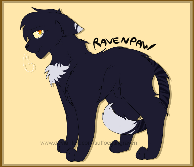 Ravenpaw by weak-punk on DeviantArt  Warrior cats art, Warrior cats books, Warrior  cats series