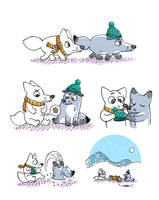 The aventures of the potato foxes