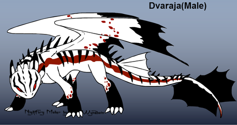 Dvaraja (Free Night Fury)