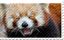 Red Panda .stamp.