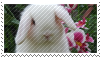 White Lop Bunny .stamp.