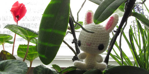 Bunny in the jungle!