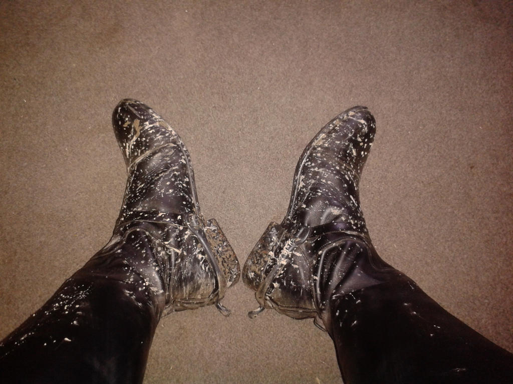 Muddy Equestrian