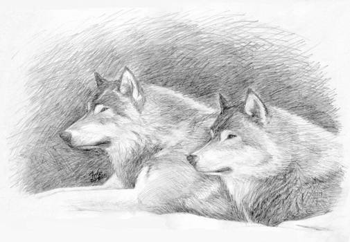 Wolf Lovers