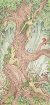 The Dryad Tree (2015)