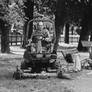 The Lawnmower Man