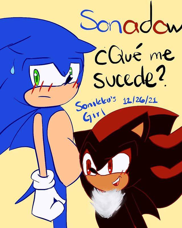 Sonadow/Sonic x Shadow, Shipping Book (No More Authors!)