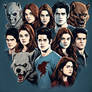 Teen Wolf's Curse