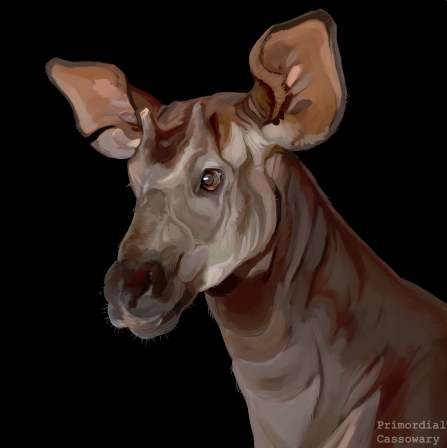 Okapi Painting by GadrienBonn on DeviantArt