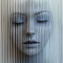 In the Stillness