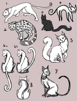 Cat tattoo sketches